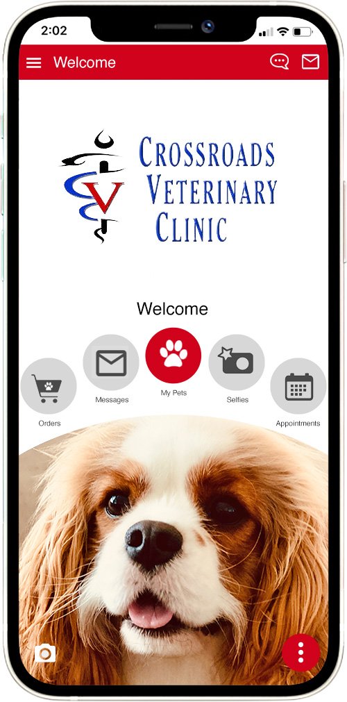 Crossroads Veterinary Clinic