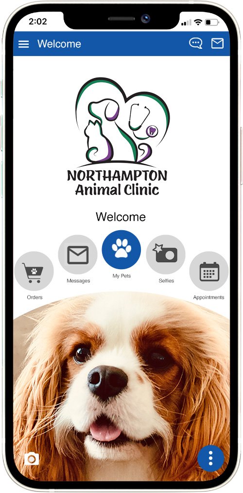 Northampton AC