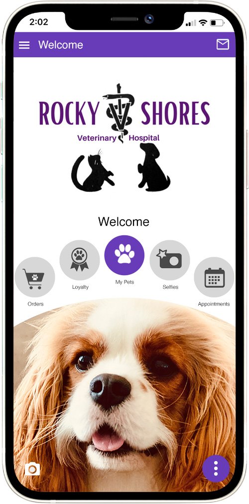 Rocky Shores Vet