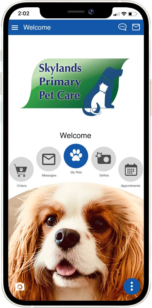 Skylands Primary Pet Care