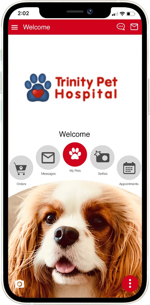 Trinity Pet Hospital