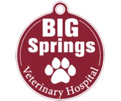 Big Springs Vet