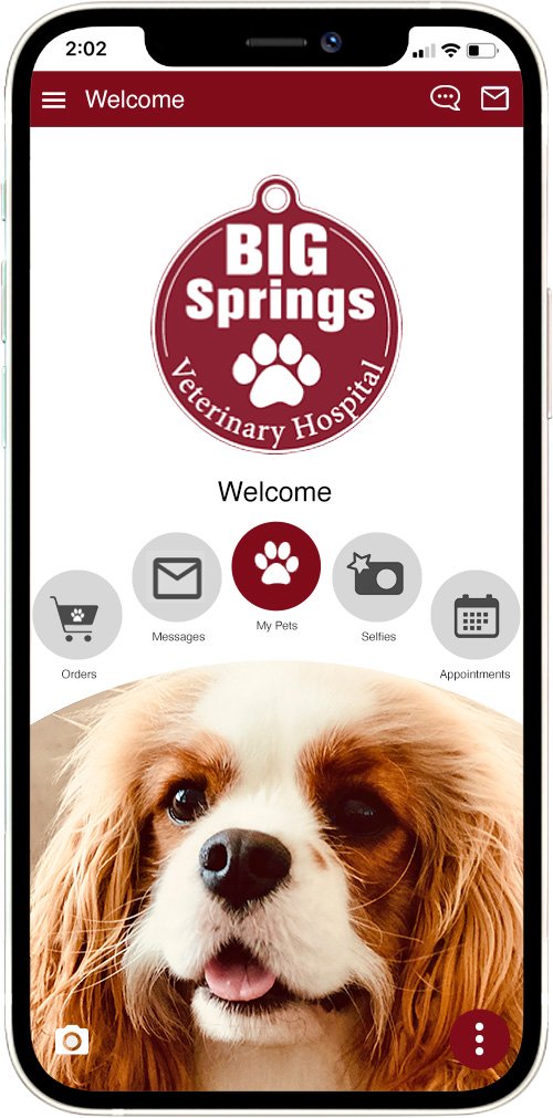 Big Springs Vet
