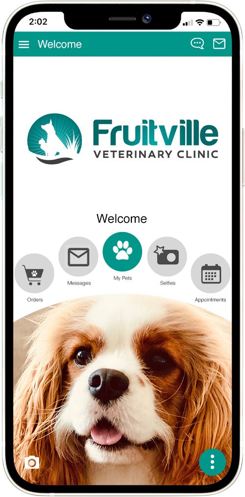 Fruitville Vet