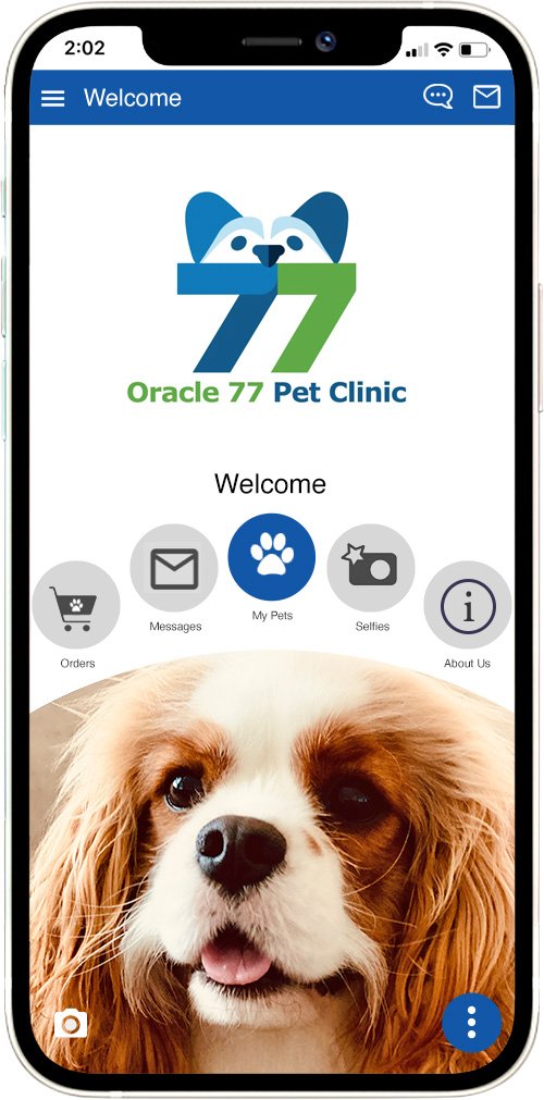 Oracle 77 Pet Clinic