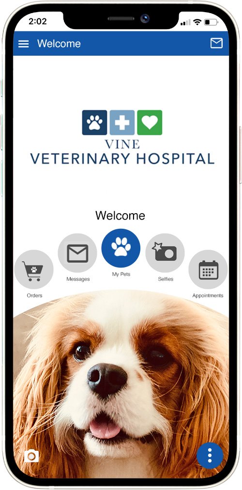 Vine Vet Hospital
