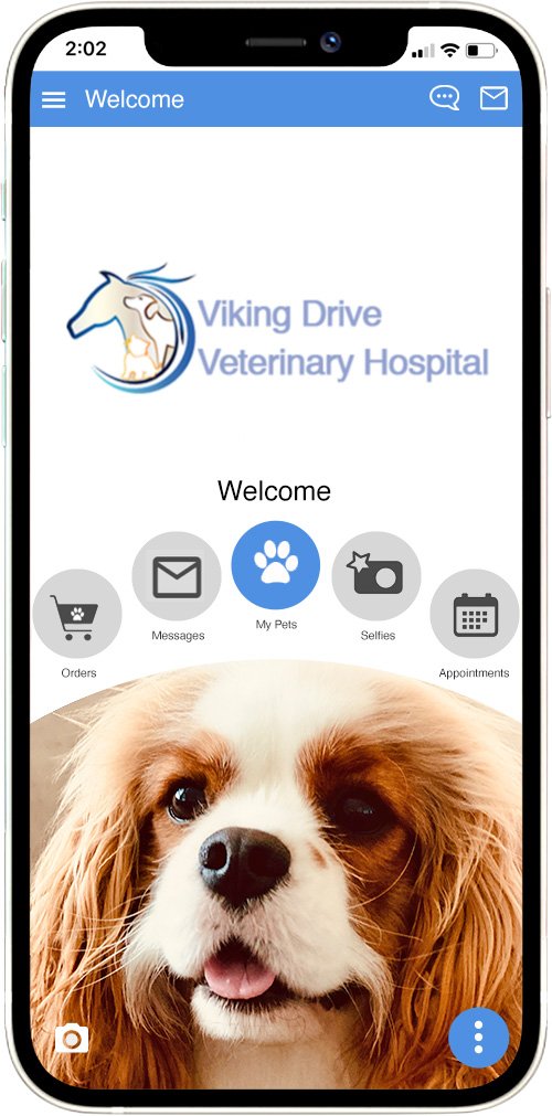 Viking Drive Veterinary Hospital