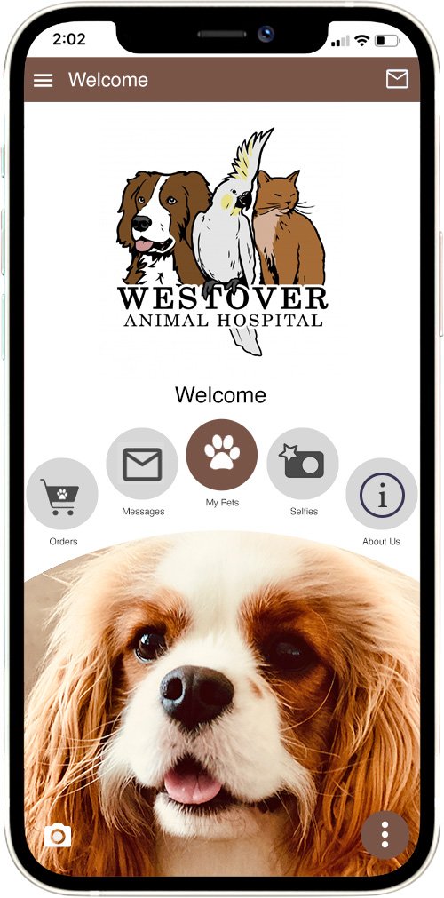 Westover AH