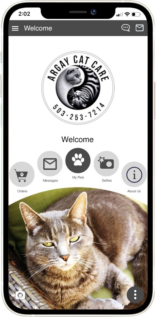 Argay Cat Care