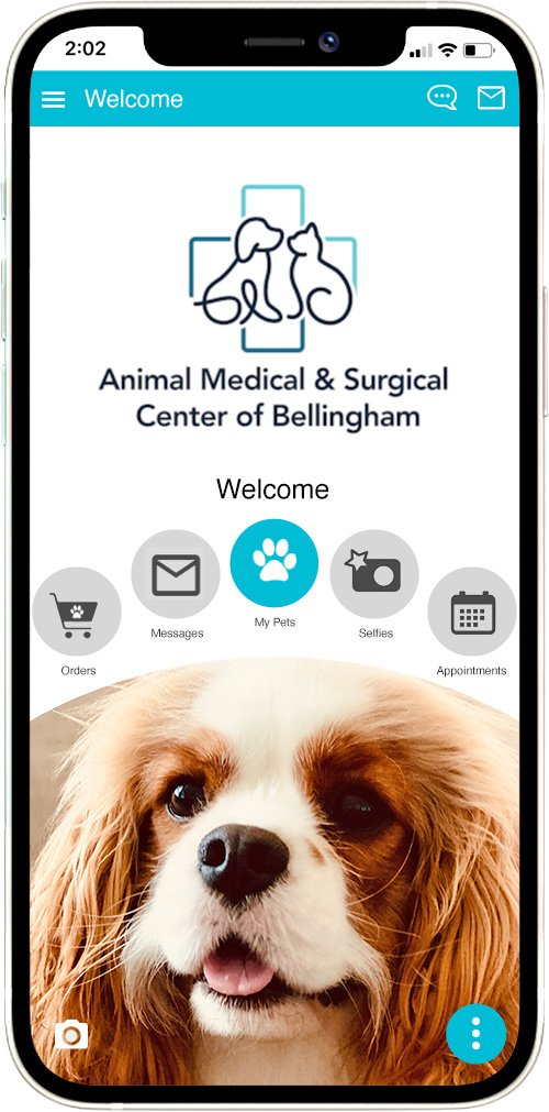 Animal Medical & Surgical Center of Bellingham