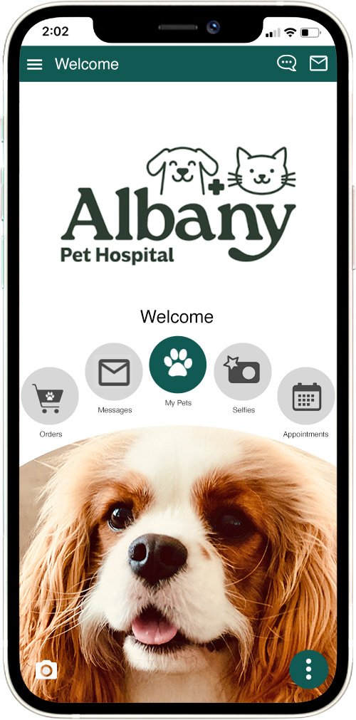 Albany Pet Hospital