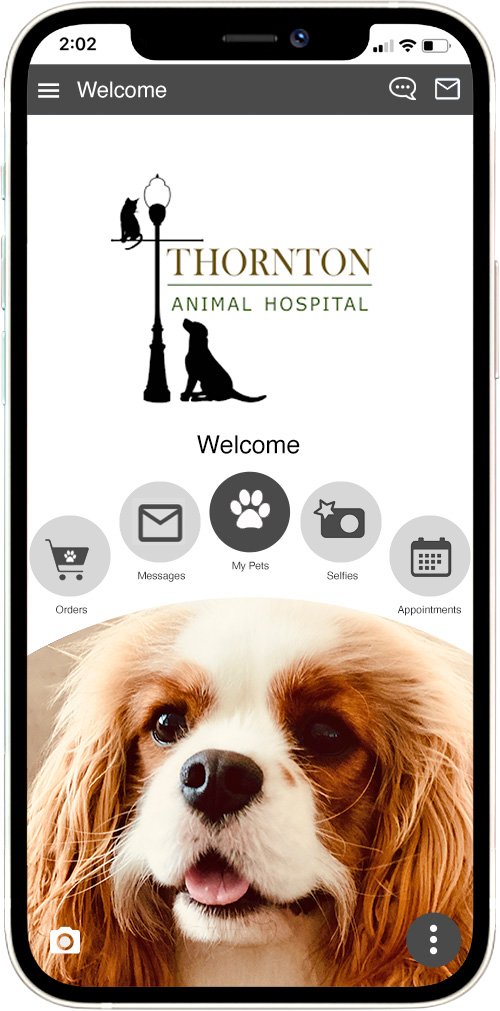 Thornton AH