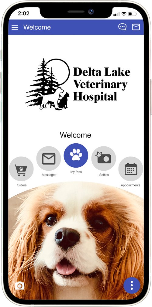 Delta Lake Veterinary Hospital