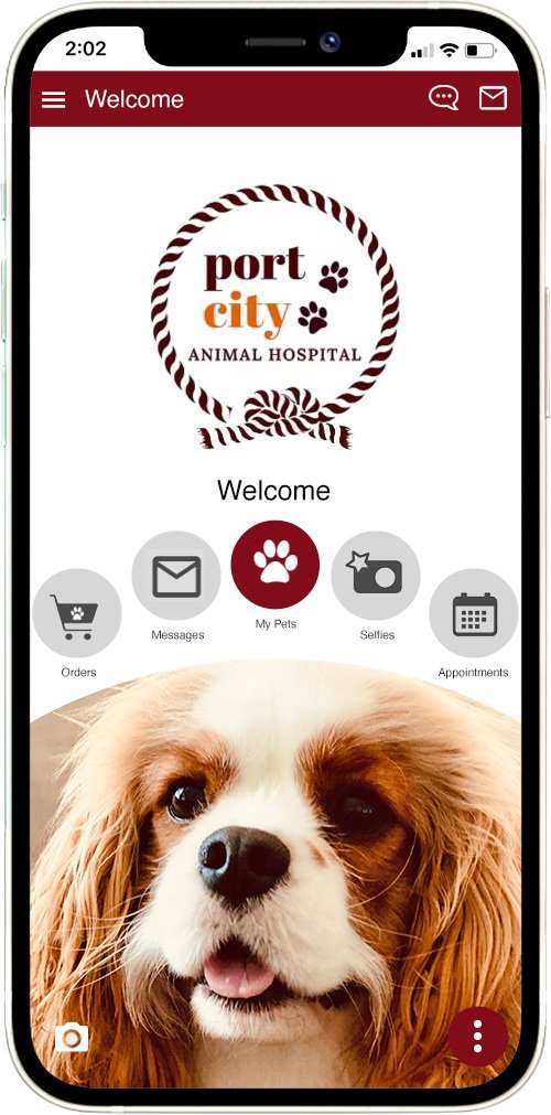 Port City Animal Hospital