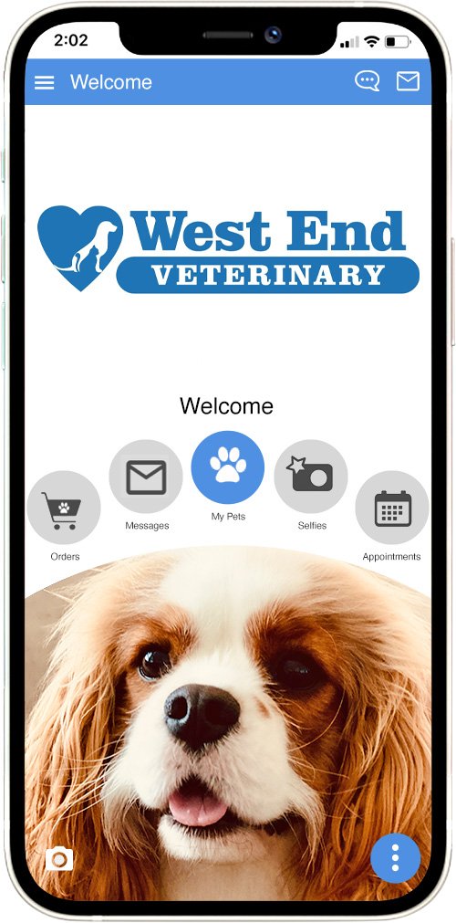 West End Vet