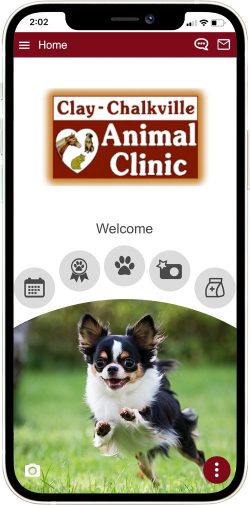 Clay-Chalkville Animal Clinic