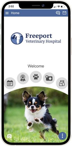 Freeport Veterinary Hospital