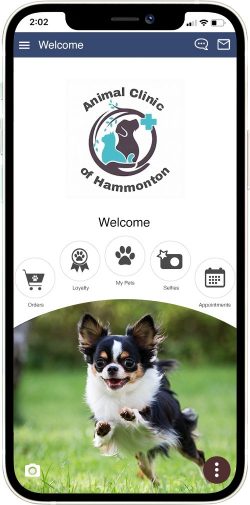 Hammonton AC