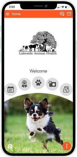 Lakeside Animal Health