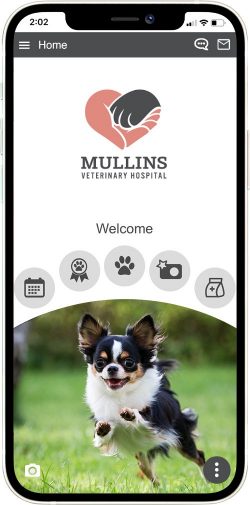 Mullins Veterinary Hospital