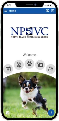 North Plains Veterinary Clinic