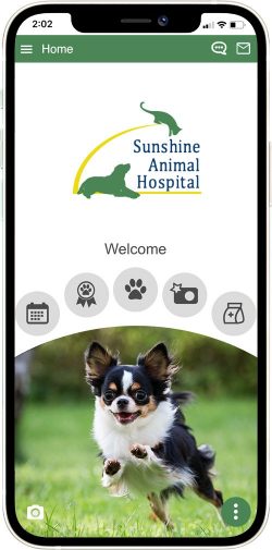 Sunshine Animal Hospital